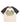 Mortons Gap Raglan Tee - Vintage Black/Antique White